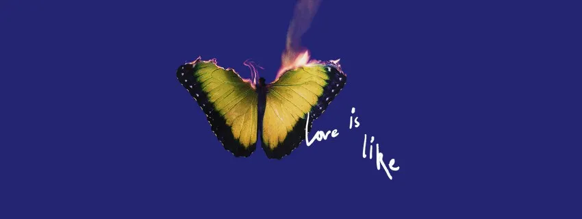 Love Is Like Maroon 5 Album Poster (Review by Udit Vikhe)